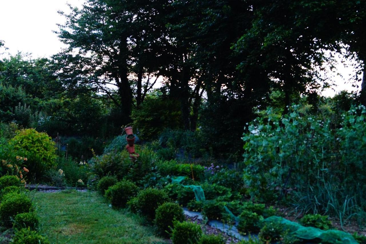 Aux Greniers A Reves Bed & Breakfast Plestan Exterior foto